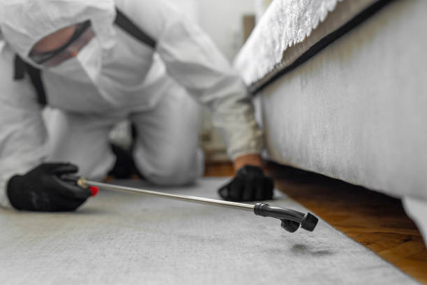 Professional Ant Control technician working in Marshall County County, IA